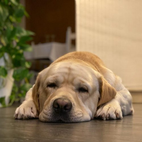 PHOTO-2025-04-23-08-25-23 (3)